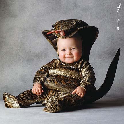 Baby Animal Pictures  Kids on Cute Set Of Photos Of Babies Wearing Animal Costumes From Tom Arma